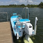 Payne Stilt 2.jpg
