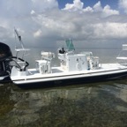 Fair Ibis 3.jpg