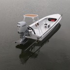 Boat Show Willet.JPG